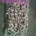 China fresh garlic supply 5.0-6.0, new season normal white garlic export